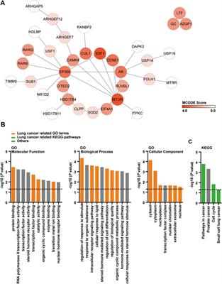 Uncovering the Pharmacological Mechanism of 2-Dodecyl-6-Methoxycyclohexa-2,5 -Diene-1,4-Dione Against Lung Cancer Based on Network Pharmacology and Experimental Evaluation